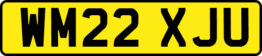 WM22XJU