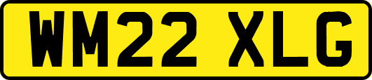 WM22XLG