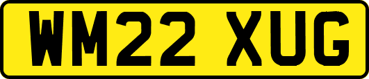WM22XUG