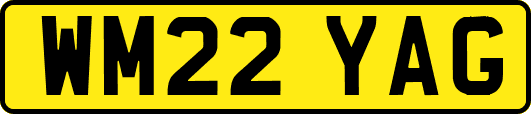 WM22YAG