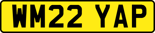 WM22YAP