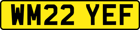 WM22YEF