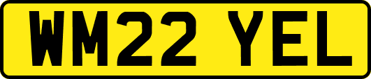 WM22YEL