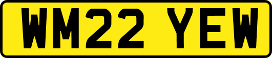 WM22YEW