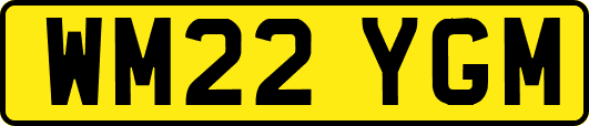 WM22YGM