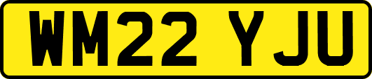 WM22YJU