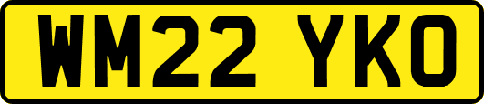 WM22YKO