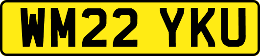 WM22YKU