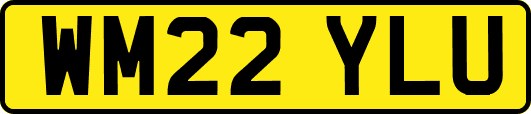 WM22YLU