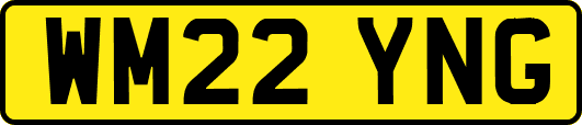 WM22YNG