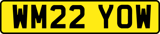 WM22YOW
