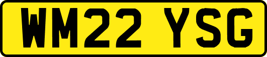 WM22YSG