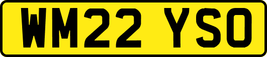 WM22YSO