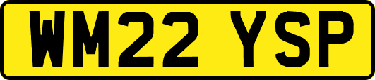 WM22YSP