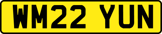 WM22YUN