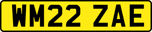 WM22ZAE