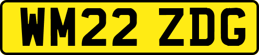 WM22ZDG