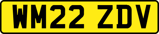 WM22ZDV