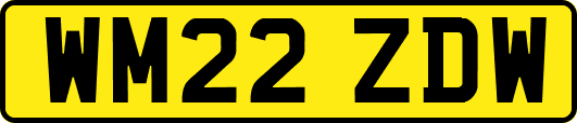 WM22ZDW