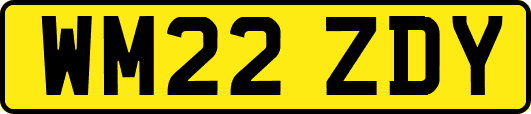 WM22ZDY