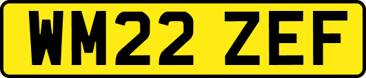 WM22ZEF