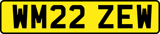 WM22ZEW