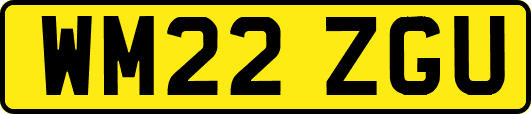 WM22ZGU