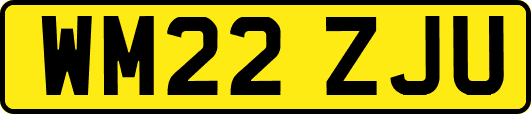 WM22ZJU