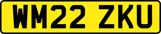 WM22ZKU