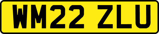 WM22ZLU