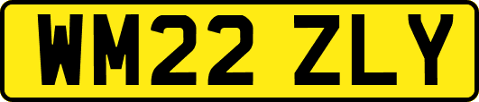 WM22ZLY