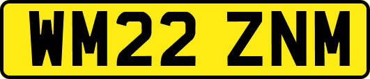 WM22ZNM