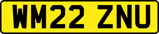 WM22ZNU