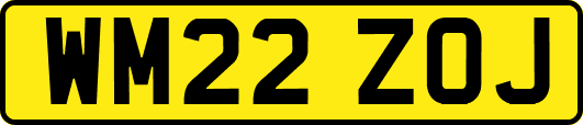 WM22ZOJ
