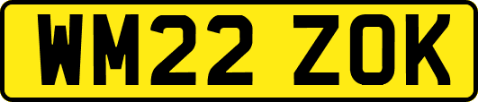 WM22ZOK