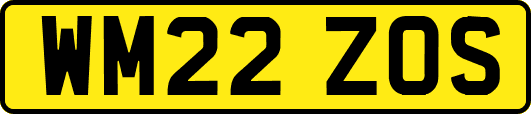 WM22ZOS