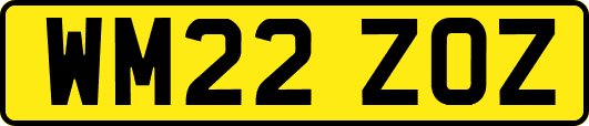 WM22ZOZ
