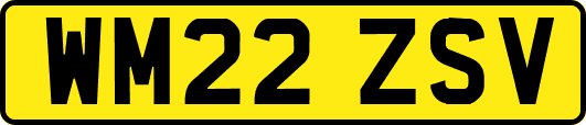 WM22ZSV