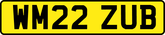 WM22ZUB