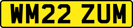 WM22ZUM