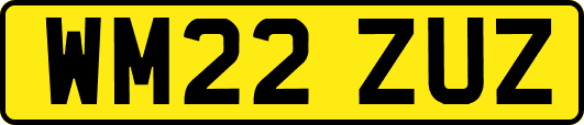 WM22ZUZ