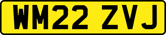 WM22ZVJ
