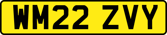 WM22ZVY