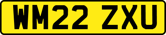 WM22ZXU