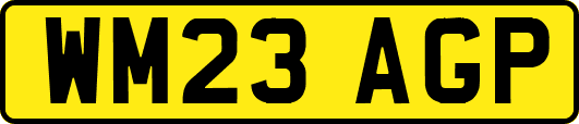WM23AGP