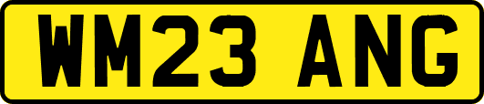 WM23ANG