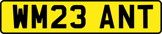 WM23ANT