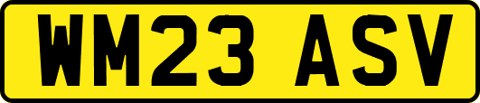 WM23ASV