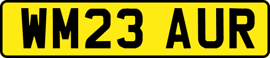 WM23AUR