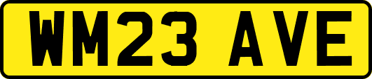 WM23AVE